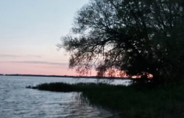 blog-grid-1-410x308